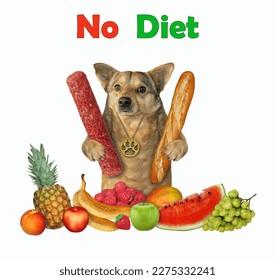 A beige dog with a sausage and a long loaf is near a heap of fruit. No diet. White background. Isolated. - Shutterstock ID 2275332241