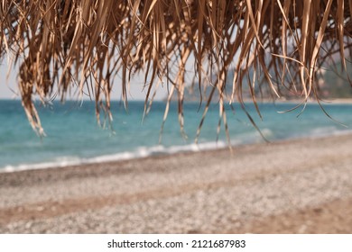 Beige and dry palm tree of beach umbrella against background of sky, blue sea and coastline without people. Copy space for your text, soft focus