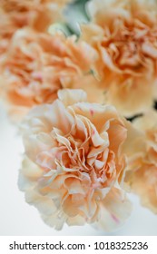 beige flower carnation. floral background of carnations in pastel colors. Close up, macro. texture.