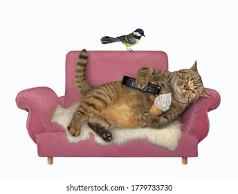 The Beige Lazy Big Cat With A Tv Remote Control And A Cone Of Ice Cream  In Its Paws Is Resting On A Pink Sofa At Home. A Bird Is Next To Him. White Background. Isolated.