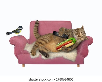 The Beige Lazy Big Cat With A Tv Remote Control And Hot Dog In Its Paws Is Resting On A Pink Sofa At Home. A Bird Is Next To Him. White Background. Isolated.