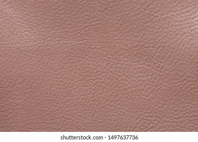 Beige Leather Fabric Texture Abstract Backdrop Stock Photo 1497637736 ...