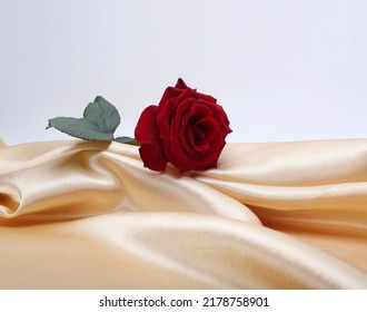 Beige nacre wave fabric silk and red rose flower. Abstract texture horizontal copy space background. - Powered by Shutterstock