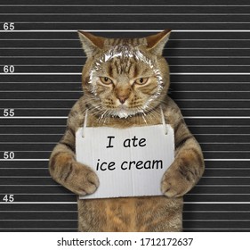 26 203 Cream Cat Images Stock Photos Vectors Shutterstock 26 203 Cream Cat Images Stock Photos Vectors Shutterstock