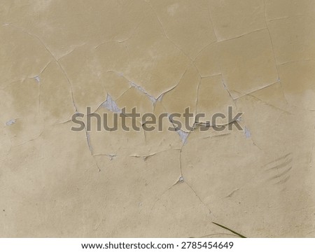 Beige plaster wall with a network of irregular cracks and soft lighting, small blue-gray shadows in crevices and a hint of green plant at bottom edge.