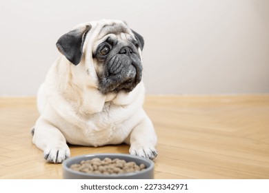 A beige pug dog lies on a wooden floor near a bowl of food and looks sadly into the camera.