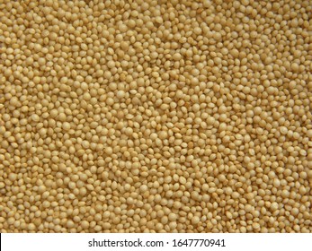 Beige Raw Whole Amaranthus Seeds