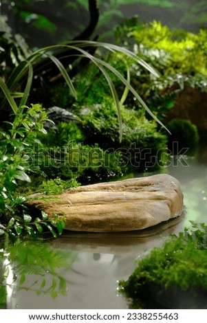 A beige rock on the bank of a stream. The water surface is clear, the back is forest vegetation with leaves, algae, moss and ferns. Nature scene for advertising, space to place products