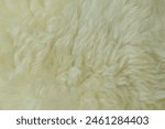 beige sheepskin texture with soft hairs, natural fur for the designer, the concept of processing, production of furrier products, stress relief, psychological stress