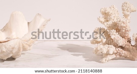 Beige soft  marine banner, still life with  white coral and  beautiful shell with trendy artistic hard shadows. Mockup for natural cosmetics product, new naturalism, copy space, front view 