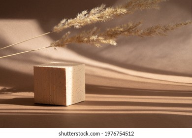 Beige square stand for presentation of packaging, cosmetics in sunlight. Two sprigs of juicy grass, located above stand, cast shadow on background. Concept of 3d podium for product demonstrations - Shutterstock ID 1976754512