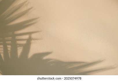 Beige wall with abstract shadow from palm leaves. Background design or minimalistic summer wallpaper idea, flat lay, creative copy space - Shutterstock ID 2025074978