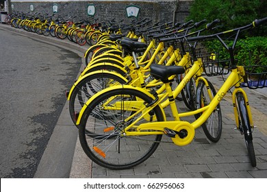 ofo stock