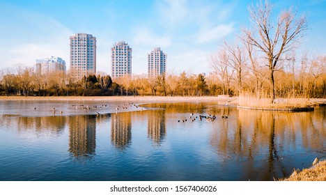 Beijing, China - January 17, 2019. Scenery In Chaoyang Park.