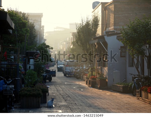 Beijing /\
China - June, 8th, 2019: smoggy early morning in one of Beijing\'s\
hutongs. Narrow-ish street with cars and bikes parked, rays of\
light and white cat looking at the\
camera.