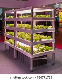 BEIJING, CHINA-APRIL 22, 2017: Vegetables In A Vertical Farming System By Shelving Units With LED Lights Are On Display At The Sanan Sino-Science Booth At The China International Exhibition Center