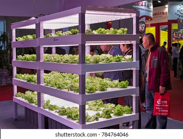 BEIJING, CHINA-APRIL 22, 2017: Visitors Are Seen Around Vegetables In A Vertical Farming By Shelving Units With LED Lights On Display At The China International Exhibition Center