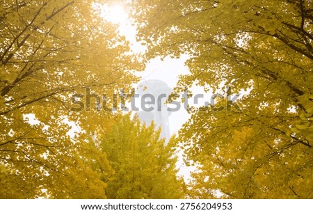 Beijing Olympic Tower surrounded by colorful trees and leaves in Forest Park autumn.