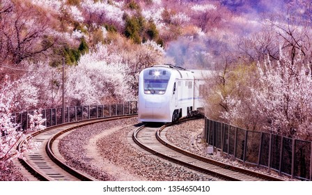 Beijing-Zhangzhou Railway, China, Train For Spring