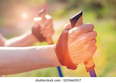 Being active. Close up of old woman having a walk through the forest while using crutches and holding them tightly - Shutterstock ID 1019665957