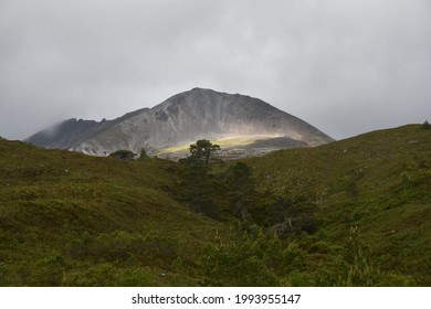 Beinn Eighe And Caledonian Pine