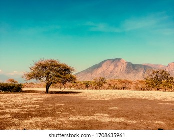 Bekol Savana, Baluran National Park Indonesia