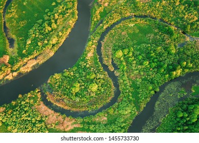 Belarus. Aerial View Green Forest Woods And River Landscape In Sunny Spring Evening. Top View Of Beautiful European Nature From High Attitude In Summer Season. Drone View. Bird's Eye View.