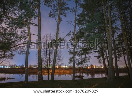 Belarus, Eastern Europe. Night Countryside Landscape With Growing Pines Forest On River Coast. Coniferous Woods In Early Spring Night. Russian Nature.