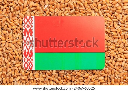 Belarus flag on a background of wheat grains. Concept of grain deal and world food security. Texture or backdrop