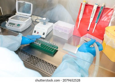 Belarus, G. Gomil. Hospital Infection Laboratory. June 02, 2021The Hands Of A Physician Laboratory Assistant In An Infectious Disease Laboratory Examines The Samples.