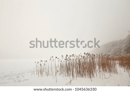 Similar – Image, Stock Photo Cuddly Horizon Sun Sunrise