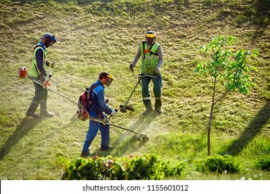 Belarus, Minsk, 23 May 2018. Municipal Gardeners Workers Team  Cutting Grass With String Lawn Trimmers. Lawn Care By Workers. Prevent Tick Bites And Control Ticks In Yard. Gardening Professional Team.