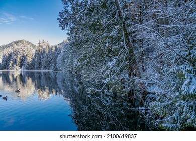 118 Belcarra regional park Images, Stock Photos & Vectors | Shutterstock