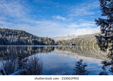 118 Belcarra regional park Images, Stock Photos & Vectors | Shutterstock