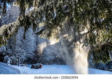 Belcarra Regional Park, Port Moody, BC Canada - December 30, 2021: Snowscape And Landscape From Trail Along Sasamat Lake And White Pine Beach