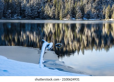 Belcarra Regional Park, Port Moody, BC Canada - December 30, 2021: Snowscape And Landscape From Trail Along Sasamat Lake And White Pine Beach