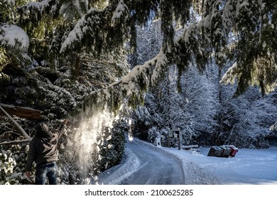 Belcarra Regional Park, Port Moody, BC Canada - December 30, 2021: Snowscape And Landscape From Trail Along Sasamat Lake And White Pine Beach