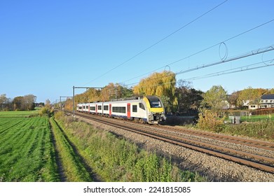 Belgian AM 08 - MS 08 Desiro set Yellow-White-Red EMU Passenger Train Set on Railway Line under Sunny Sky and Weather Natural Environment, Field, Green Trees + Autumnal Colours in Nijlen - Powered by Shutterstock