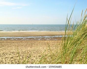 Belgian Coast                      