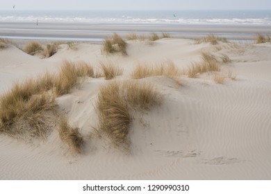 Belgian Coast Dunes