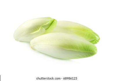 Belgian Endive, Witloof