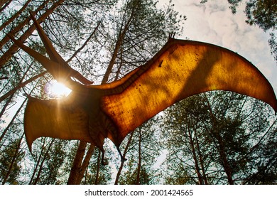 Belgorod, Russia May 27, 2021 Dino ParkPteranodon among rays of sun in pine forest. flying dinosaur pterodactyl spreads its wings and flies. Monster large lizard of Mesozoic era flies in green forest 