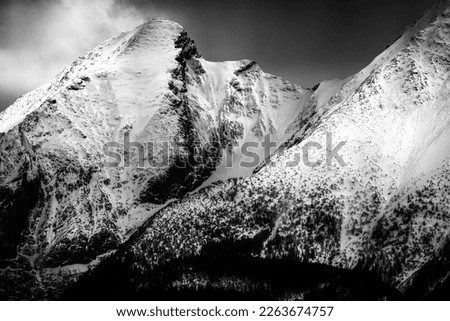 Similar – Foto Bild Morgennebel im Hochgebirge