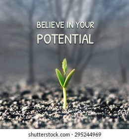 Believe in Your Potential