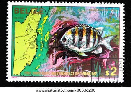 BELIZE - CIRCA 1982: A stamp printed in Belize shows fish , circa 1982