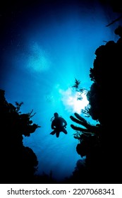 Belize Coral Reef In Silhouette