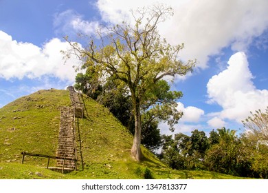 Belize Maya Hills Altun Ha