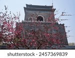 Bell Tower in Beijing, China in spring, famous Beijing landmark built in 1272 during the Yuan dynasty