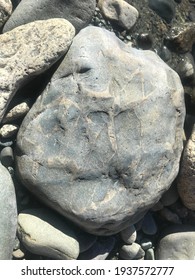 Bella Coola Rock Impression River Walk British Columbia Canada