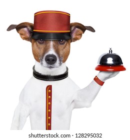 Bellboy Dog Holding A Bell With Red Hat